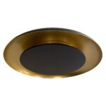 Moderne Zwart Gouden Plafondlamp Warm Wit Licht Dimbaar